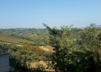 20181019_101256.jpg - Bilocale Torrevecchia Teatina - foto 14