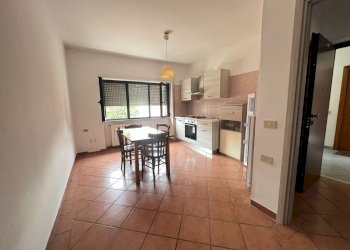 WhatsApp Image 2026-03-04 at 16.20.26.jpeg - Appartamento Capena - foto 3