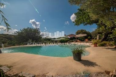 WhatsApp Image 2026-02-17 at 16.03.56.jpeg - Rustico Arzachena - foto 1