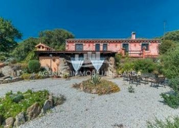 WhatsApp Image 2026-02-17 at 16.03.55 (1).jpeg - Rustico Arzachena - foto 4