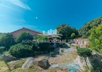 WhatsApp Image 2026-02-17 at 16.03.55 (2).jpeg - Rustico Arzachena - foto 5