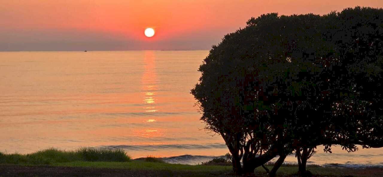 ALBA FRONTE CASA.jpeg - Casale Via delle Mattanze 1, Stintino - foto 1