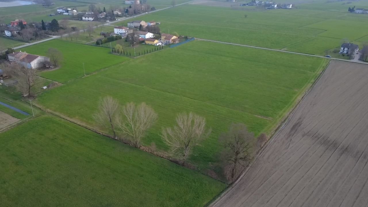 WhatsApp Image 2026-03-04 at 11.26.22 (2).jpeg - Terreno agricolo San Secondo Parmense - foto 2