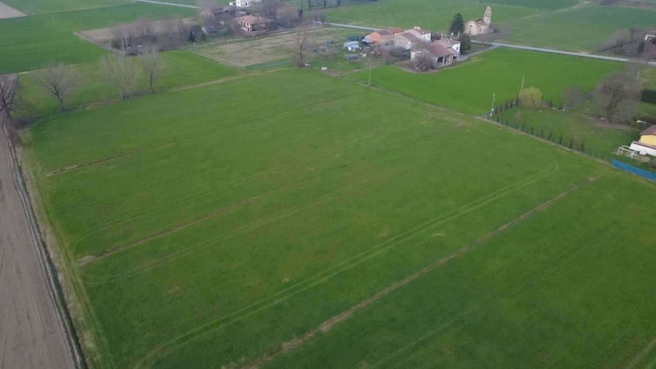 WhatsApp Image 2026-03-04 at 11.26.22.jpeg - Terreno agricolo San Secondo Parmense - foto 3