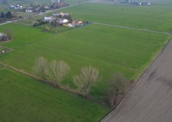 WhatsApp Image 2026-03-04 at 11.26.22 (2).jpeg - Terreno agricolo San Secondo Parmense - foto 2