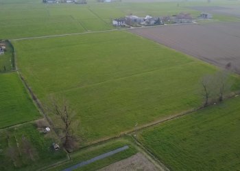 WhatsApp Image 2026-03-04 at 11.26.23 (1).jpeg - Terreno agricolo San Secondo Parmense - foto 4