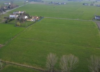 WhatsApp Image 2026-03-04 at 11.26.23.jpeg - Terreno agricolo San Secondo Parmense - foto 5