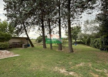 IMG_8124.jpeg - Villa VIALE ALBERTI, Ravenna - foto 2