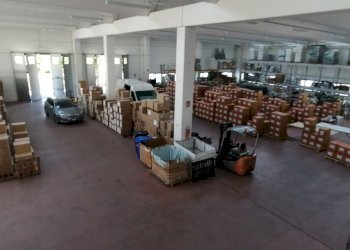 IMG_20200623_172918.jpg - Locale Commerciale Novi di Modena - foto 4