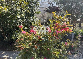 Terratetto - Terracielo Via per Colazza, Pisano - foto 27