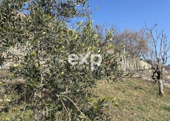 Terratetto - Terracielo Via per Colazza, Pisano - foto 28