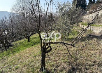 Terratetto - Terracielo Via per Colazza, Pisano - foto 29
