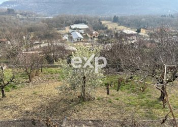 Terratetto - Terracielo Via per Colazza, Pisano - foto 32