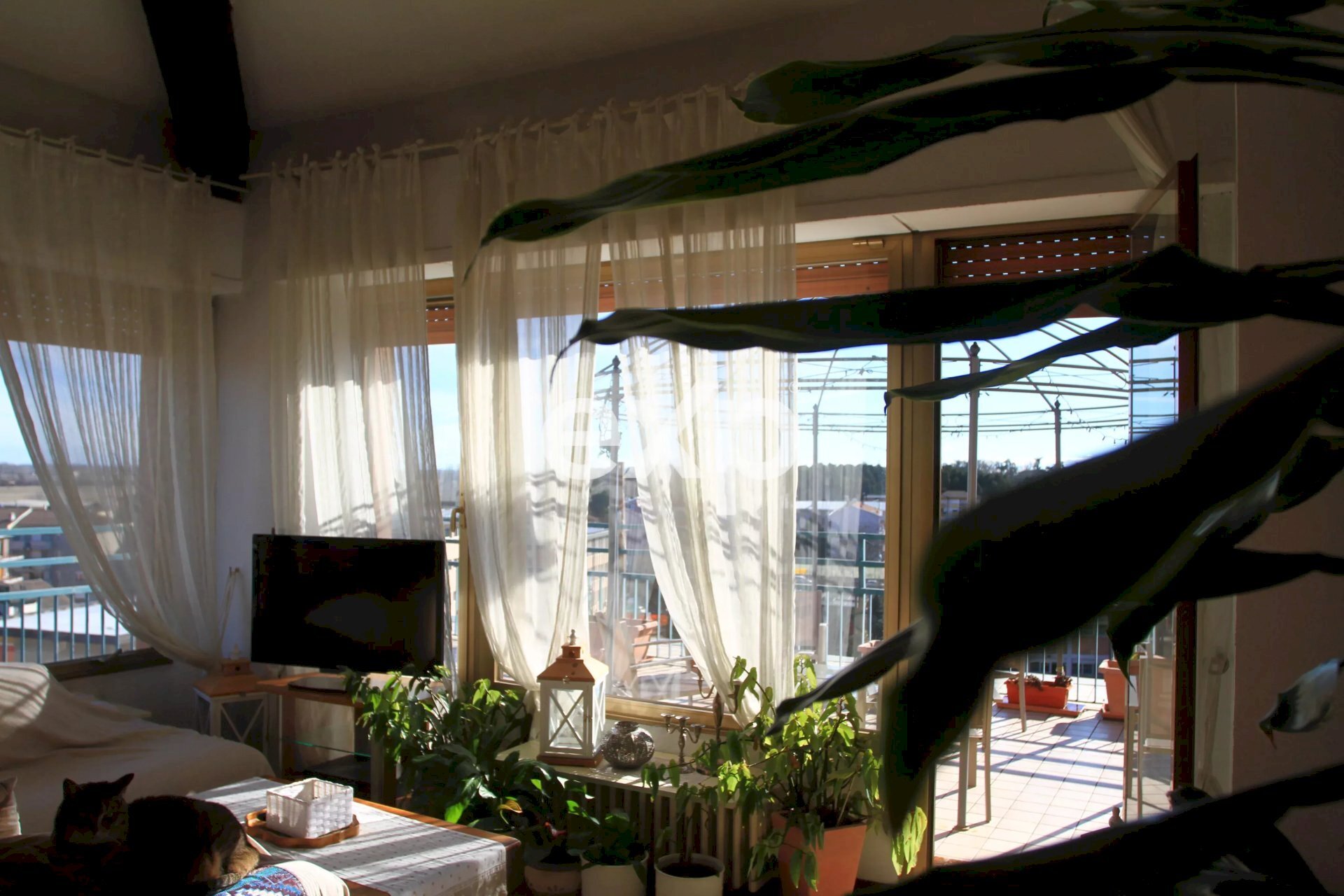 Attico Via Geremia Bonomelli, Novara - foto 2