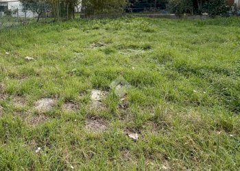 Porzione di casa Via Pascoli, Santarcangelo di Romagna - foto 4