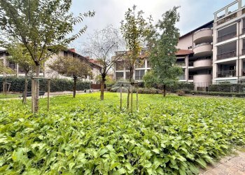 Bilocale Via don giovanni calabria, Milano (zona Cimiano) - foto 7