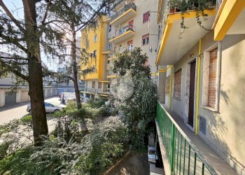 Trilocale Via pellegrino rossi, Milano (zona Dergano) - foto 31