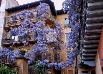 Box Via Albertolli, Milano (zona Villapizzone) - foto 11