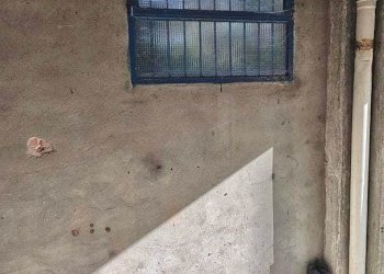 Garage - Parcheggio Modena (zona Crocetta) - foto 3