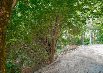 Bilocale via setta, Sasso Marconi - foto 4