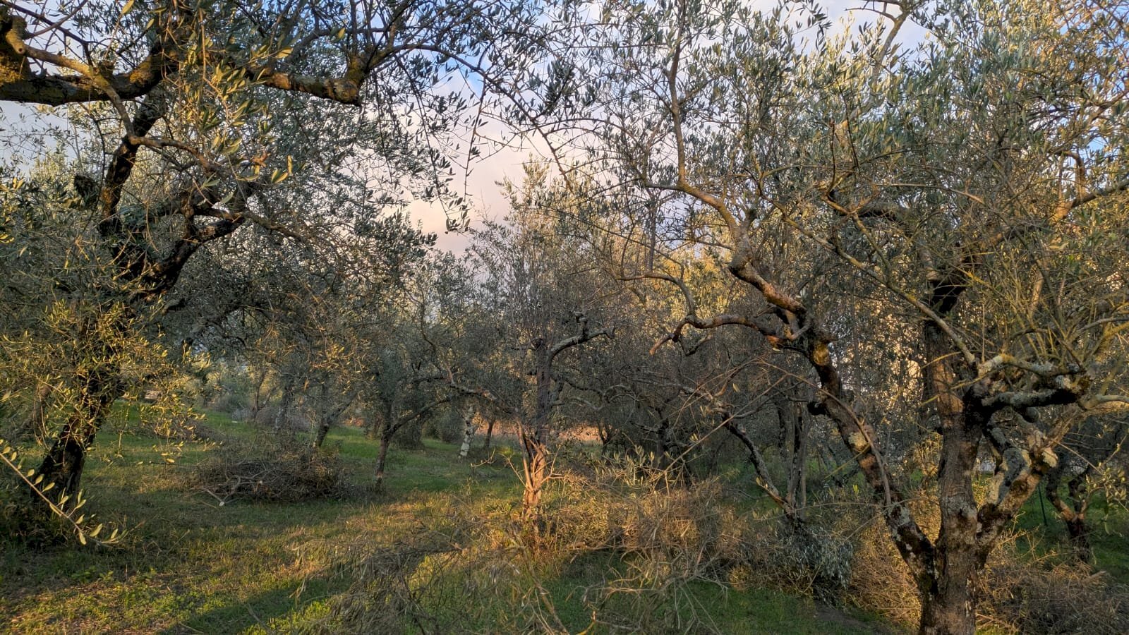 Agricultural land Località Fonnone, 3, Isernia - photo 2