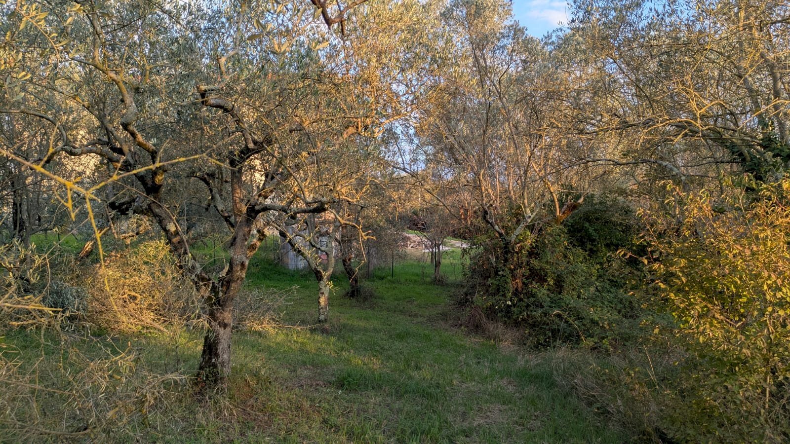 Agricultural land Località Fonnone, 3, Isernia - photo 3