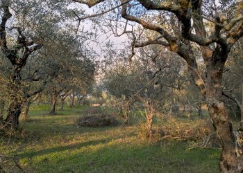 Agricultural land Località Fonnone, 3, Isernia - photo 1