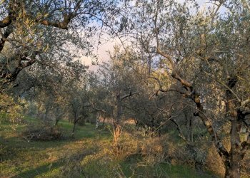 Agricultural land Località Fonnone, 3, Isernia - photo 2
