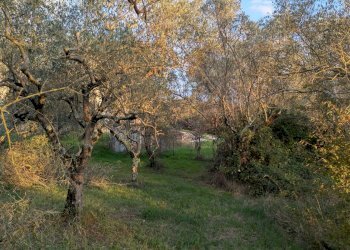 Agricultural land Località Fonnone, 3, Isernia - photo 3