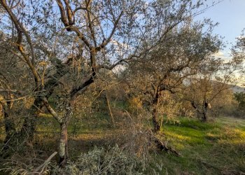 Agricultural land Località Fonnone, 3, Isernia - photo 5
