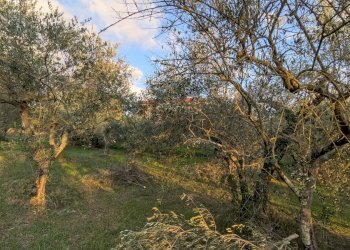 Agricultural land Località Fonnone, 3, Isernia - photo 7