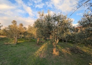 Agricultural land Località Fonnone, 3, Isernia - photo 9