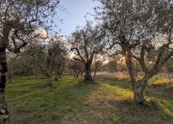Agricultural land Località Fonnone, 3, Isernia - photo 10