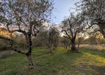 Agricultural land Località Fonnone, 3, Isernia - photo 11