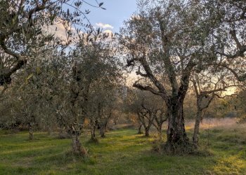 Agricultural land Località Fonnone, 3, Isernia - photo 12