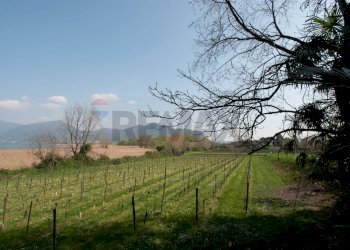 Monolocale Via delle Santelle, 21 
 Clusane, Iseo - foto 38