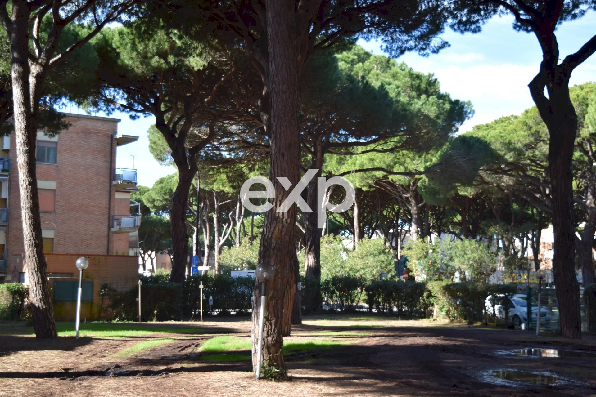 Quadrilocale Grosseto - foto 1