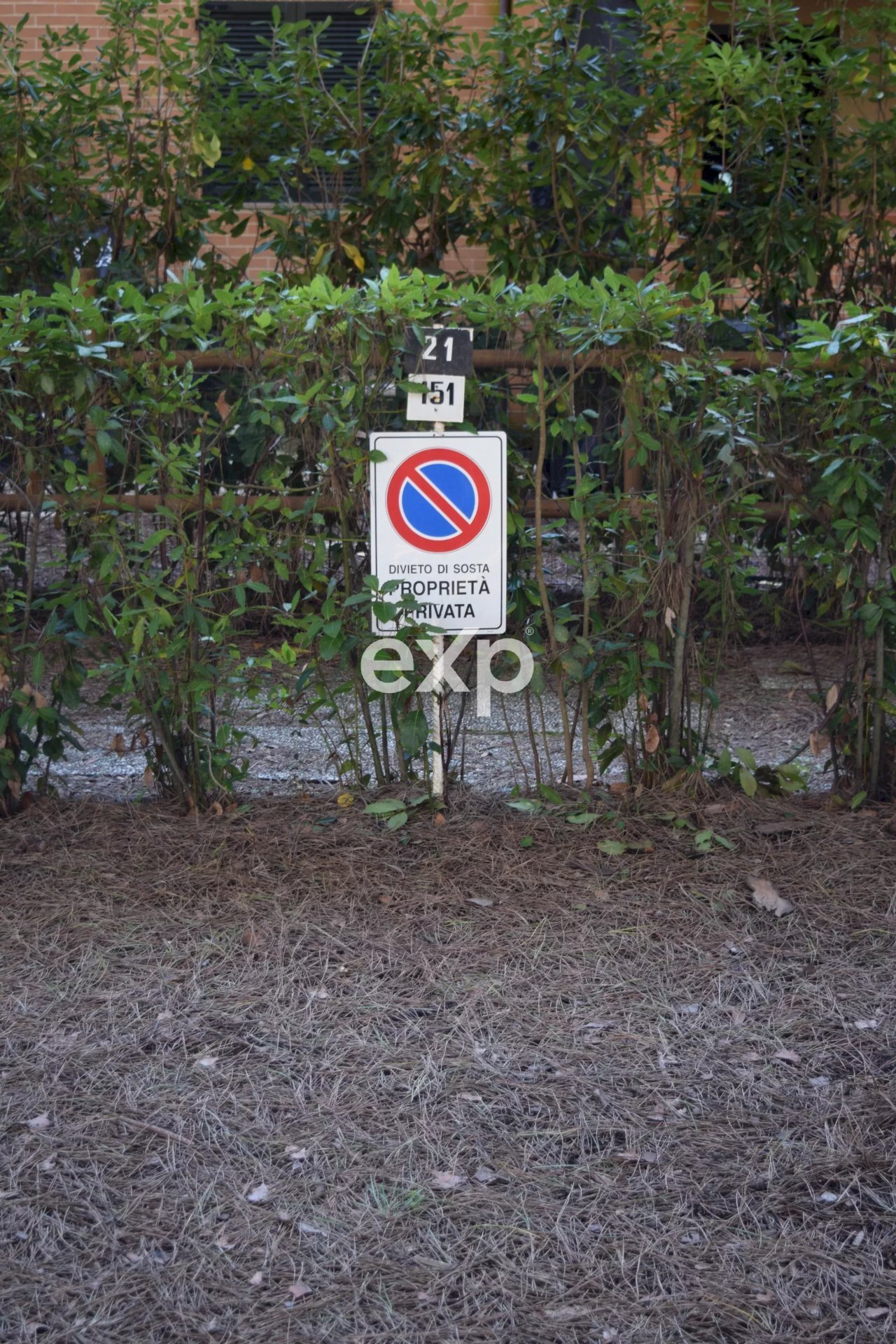 Quadrilocale Grosseto - foto 3