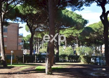 Quadrilocale Grosseto - foto 1