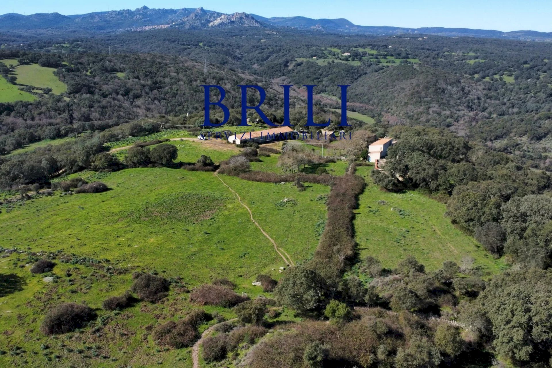 Terreno agricolo LOCALITÀ LA NOCI TEMPIO PAUSANIA, Tempio Pausania - foto 3