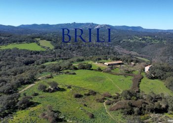 Terreno agricolo LOCALITÀ LA NOCI TEMPIO PAUSANIA, Tempio Pausania - foto 1