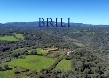 Terreno agricolo LOCALITÀ LA NOCI TEMPIO PAUSANIA, Tempio Pausania - foto 2