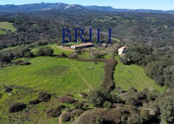 Terreno agricolo LOCALITÀ LA NOCI TEMPIO PAUSANIA, Tempio Pausania - foto 3