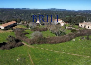 Terreno agricolo LOCALITÀ LA NOCI TEMPIO PAUSANIA, Tempio Pausania - foto 4