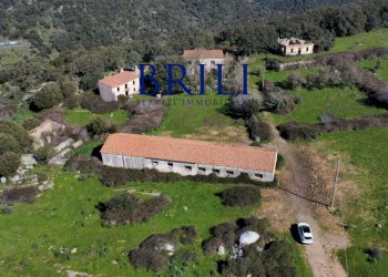Terreno agricolo LOCALITÀ LA NOCI TEMPIO PAUSANIA, Tempio Pausania - foto 5