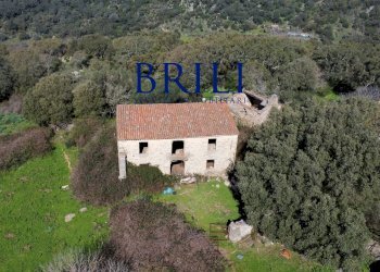 Terreno agricolo LOCALITÀ LA NOCI TEMPIO PAUSANIA, Tempio Pausania - foto 6