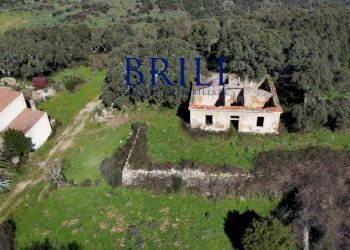 Terreno agricolo LOCALITÀ LA NOCI TEMPIO PAUSANIA, Tempio Pausania - foto 7