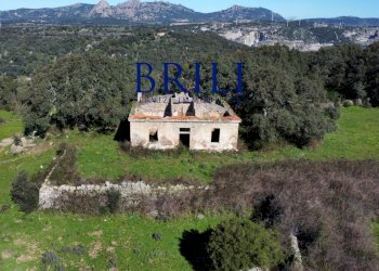 Terreno agricolo LOCALITÀ LA NOCI TEMPIO PAUSANIA, Tempio Pausania - foto 8