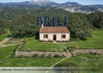 Terreno agricolo LOCALITÀ LA NOCI TEMPIO PAUSANIA, Tempio Pausania - foto 9