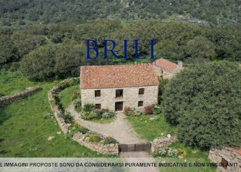 Terreno agricolo LOCALITÀ LA NOCI TEMPIO PAUSANIA, Tempio Pausania - foto 10